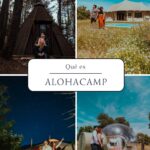Os explicamos qué es alohacamp, la plataforma de alojamientos singulares en la naturaleza